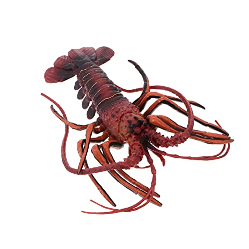 PERSELOSO Realistisches Lobster Modell für Attraktives Meeresbewohner für Zuhause und Büro Hochwertiges Langlebiges Material für Tisch und Gartendekoration als oder Foto PERSELOSO Realistisches Lobster Modell für Attraktives Meeresbewohner für Zuhause und Büro Hochwertiges Langlebiges Material für Tisch und Gartendekoration als oder Foto von PERSELOSO