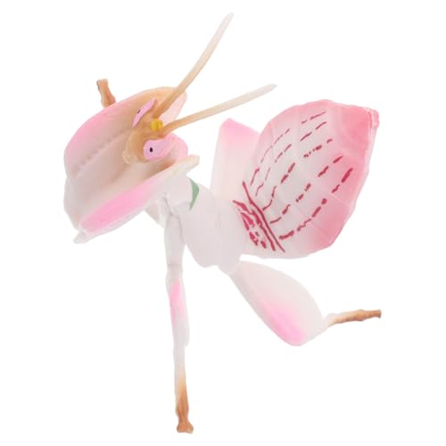 PERSELOSO Insektenmodell Der Gottesanbeterin Aus Kunststoff Realistische Sammelfigur Für Junge Mädchen Schreibtischdekoration Und Lehrspielzeug Für Pädagogische Zwecke PERSELOSO Insektenmodell Der Gottesanbeterin Aus Kunststoff Realistische Sammelfigur Für Junge Mädchen Schreibtischdekoration Und Lehrspielzeug Für Pädagogische Zwecke von PERSELOSO