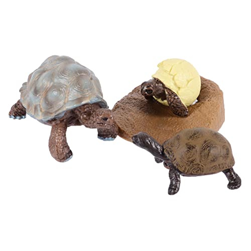 PERSELOSO Teiliges Set Tierspielzeug Realistische Schildkröte Wachstumszyklus Modelle für Kognitives Lernspielzeug Naturentdeckung PERSELOSO Teiliges Set Tierspielzeug Realistische Schildkröte Wachstumszyklus Modelle für Kognitives Lernspielzeug Naturentdeckung von PERSELOSO