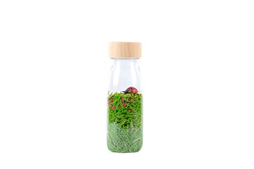 PETIT BOUM Sound Bottle Ladybirds von PETIT BOUM