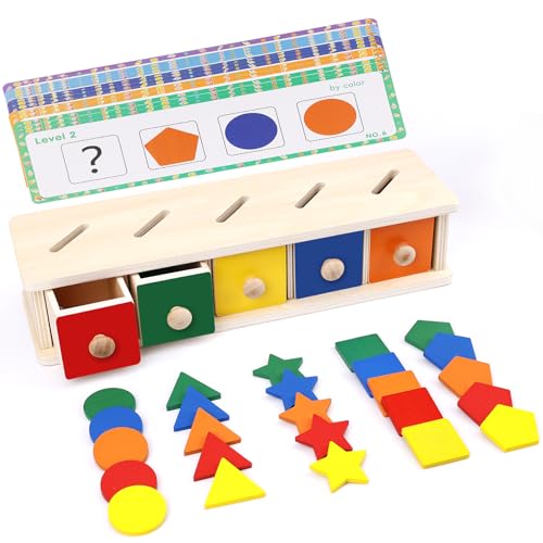 PEUTIER Holz Farbform Sortierbox, Montessori Spielzeug Sortier und Stapelspielzeug Frühlernspielzeug für Babys Kleinkinder PEUTIER Holz Farbform Sortierbox, Montessori Spielzeug Sortier und Stapelspielzeug Frühlernspielzeug für Babys Kleinkinder von PEUTIER