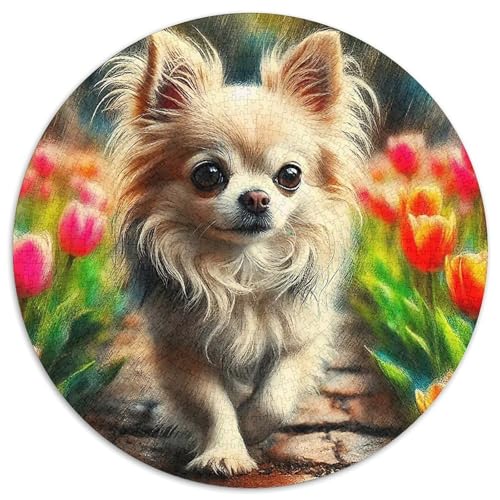 Chihuahua 1000-teiliges Puzzle Für Erwachsene Kinder Kleiner Hund Anspruchsvolles Puzzle Entspannend Familienspielabende Geschenk Zum Geburtstag 1000pcs (67.5x67.5cm) von PFQHUAIDH
