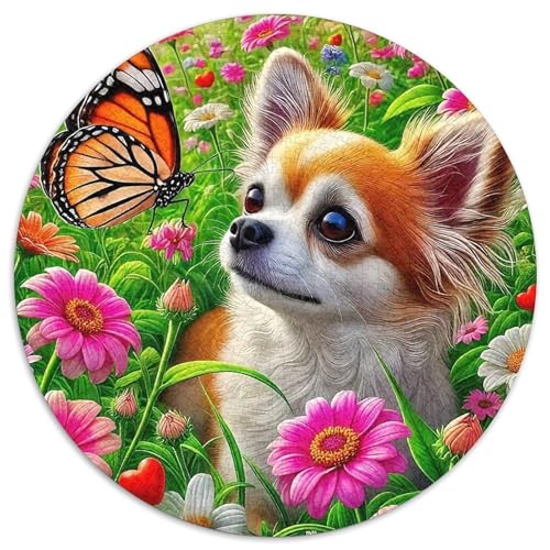 Chihuahua 1000-teiliges Puzzle Für Erwachsene Kinder Kleiner Hund Anspruchsvolles Puzzle Stress Abbauen Familie Aktivität Spiele Geschenk Zum Geburtstag 1000pcs (67.5x67.5cm) von PFQHUAIDH