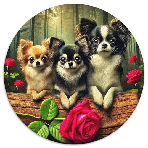 Chihuahua 1000-teiliges Puzzle Für Erwachsene Kinder Kleiner Hund Herausforderndes Puzzle Stress Abbauen Perfekt Für Spieleabende Geschenk Zum Geburtstag 1000pcs (67.5x67.5cm) von PFQHUAIDH