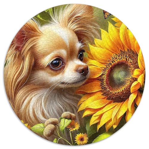 Chihuahua 1000-teiliges Puzzle Für Frauen, Männer Kleiner Hund Herausforderndes Puzzle Entspannend Familienspielabende Spielzeug Geschenk 1000pcs (67.5x67.5cm) von PFQHUAIDH