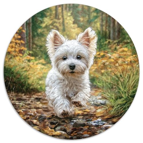 Cute Haustierhund 1000-teiliges Puzzle Für Frauen, Männer Tier Thema Anspruchsvolles Puzzle Entspannend Familienspielabende Spielzeug Geschenk 1000pcs (67.5x67.5cm) von PFQHUAIDH
