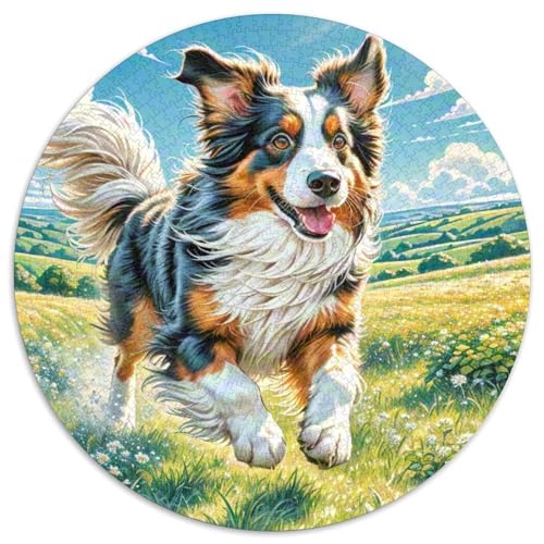Englischer Springer Spaniel 1000-teiliges Puzzle Für Erwachsene Kinder Tier Thema Anspruchsvolles Puzzle Entspannend Familienspielabende Geschenk Zum Geburtstag 1000pcs (67.5x67.5cm) von PFQHUAIDH