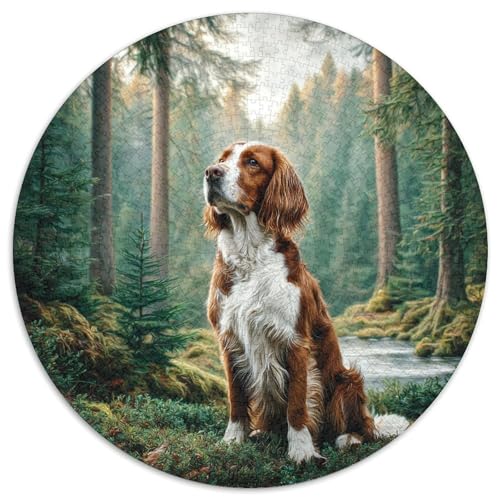 Netter Hund 1000-teiliges Puzzle Für Erwachsene Kinder Tier Thema Anspruchsvolles Puzzle Entspannend Perfekt Für Spieleabende Geschenk Zum Geburtstag 1000pcs (67.5x67.5cm) von PFQHUAIDH
