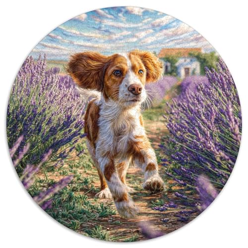 Netter Hund 1000-teiliges Puzzle Für Erwachsene Kinder Tier Thema Anspruchsvolles Puzzle Stress Abbauen Familie Aktivität Spiele Spielzeug Geschenk 1000pcs (67.5x67.5cm) von PFQHUAIDH