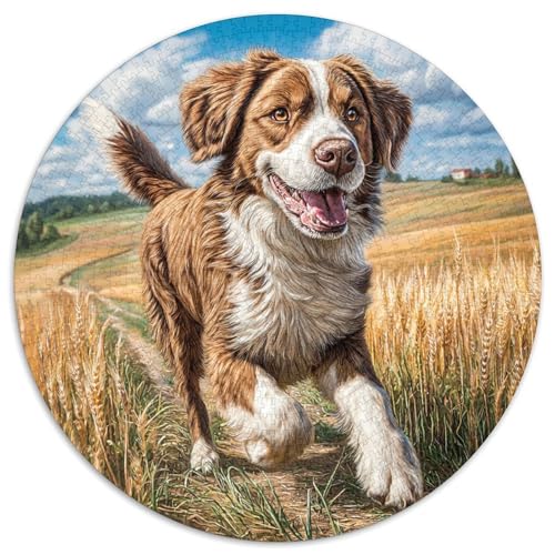 Netter Hund 1000-teiliges Puzzle Für Erwachsene Kinder Tier Thema Herausforderndes Puzzle Entspannend Perfekt Für Spieleabende Geschenk Zum Geburtstag 1000pcs (67.5x67.5cm) von PFQHUAIDH