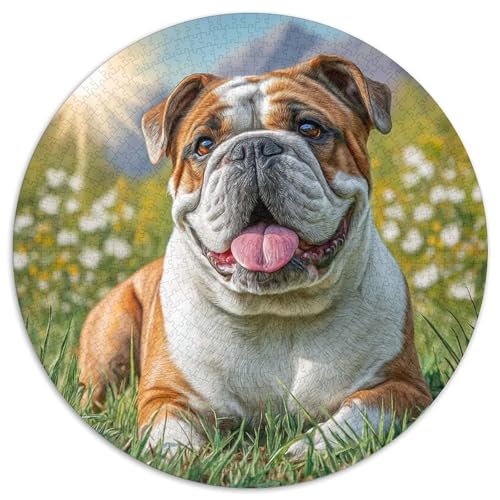 Netter Hund 1000-teiliges Puzzle Für Erwachsene Kinder Tier Thema Herausforderndes Puzzle Stress Abbauen Perfekt Für Spieleabende Spielzeug Geschenk 1000pcs (67.5x67.5cm) von PFQHUAIDH