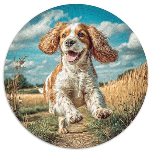 Netter Hund 1000-teiliges Puzzle Für Frauen, Männer Tier Thema Herausforderndes Puzzle Entspannend Perfekt Für Spieleabende Geschenk Zum Geburtstag 1000pcs (67.5x67.5cm) von PFQHUAIDH