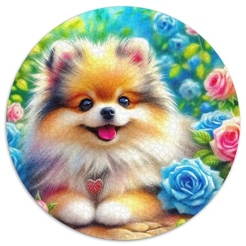 Pommern 1000-teiliges Puzzle Für Erwachsene Kinder Kleiner Hund Anspruchsvolles Puzzle Stress Abbauen Familienspielabende Spielzeug Geschenk 1000pcs (67.5x67.5cm) von PFQHUAIDH