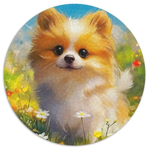 Pommern 1000-teiliges Puzzle Für Erwachsene Kinder Kleiner Hund Herausforderndes Puzzle Entspannend Familie Aktivität Spiele Geschenk Zum Geburtstag 1000pcs (67.5x67.5cm) von PFQHUAIDH