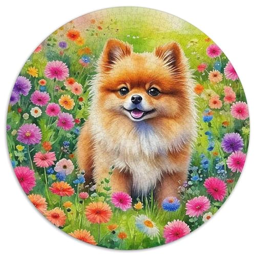Pommern 1000-teiliges Puzzle Für Erwachsene Kinder Kleiner Hund Herausforderndes Puzzle Entspannend Familie Aktivität Spiele Spielzeug Geschenk 1000pcs (67.5x67.5cm) von PFQHUAIDH
