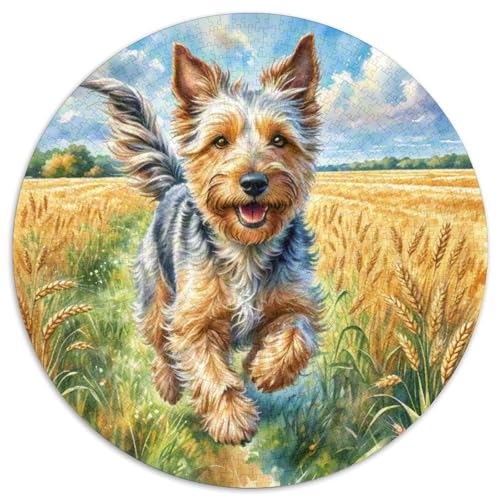 Schottischer Terrier 1000-teiliges Puzzle Für Frauen, Männer Tier Thema Herausforderndes Puzzle Entspannend Familie Aktivität Spiele Geschenk Zum Geburtstag 1000pcs (67.5x67.5cm) von PFQHUAIDH