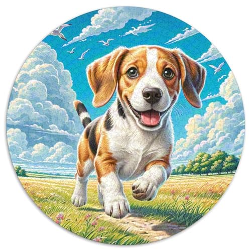 Spanischer Wasserhund 1000-teiliges Puzzle Für Erwachsene Kinder Tier Thema Herausforderndes Puzzle Entspannend Familienspielabende Spielzeug Geschenk 1000pcs (67.5x67.5cm) von PFQHUAIDH