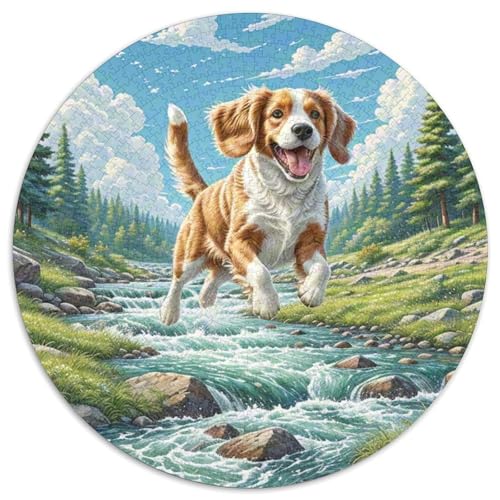 Welischer Springer Spaniel 1000-teiliges Puzzle Für Frauen, Männer Tier Thema Anspruchsvolles Puzzle Stress Abbauen Familie Aktivität Spiele Geschenk Zum Geburtstag 1000pcs (67.5x67.5cm) von PFQHUAIDH