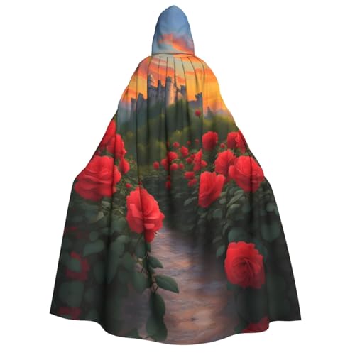 PHAYAH Ein schönes Schloss Halloween Erwachsene Kapuzenumhang Kapuzenmantel Damen Herren Halloween Dress Up Party Cosplay Kostüme von PHAYAH