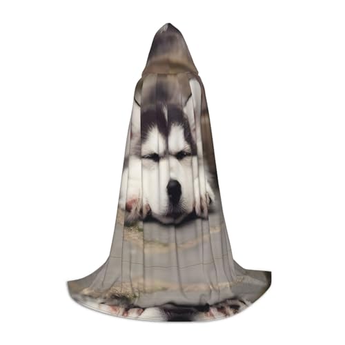 PHAYAH Husky Hunde-Umhang mit Kapuze für Halloween, Erwachsene, Damen, Herren, Halloween, Verkleidung, Party, Cosplay, Kostüme, Größe S von PHAYAH