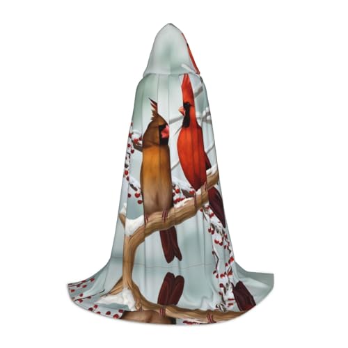 PHAYAH Kapuzenumhang mit Vogelmuster, Halloween, Erwachsene, Damen, Herren, Halloween, Verkleidung, Party, Cosplay, Kostüme, Größe M von PHAYAH