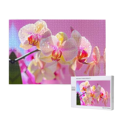 Phayah 1000 Teile Erwachsenenpuzzle Kinder Holzpuzzle Spielzeug DIY Kit Heimdekoration 75 x 50 cm Weiß Schmetterling Orchidee Muster Phayah 1000 Teile Erwachsenenpuzzle Kinder Holzpuzzle Spielzeug DIY Kit Heimdekoration 75 x 50 cm Weiß Schmetterling Orchidee Muster von PHAYAH