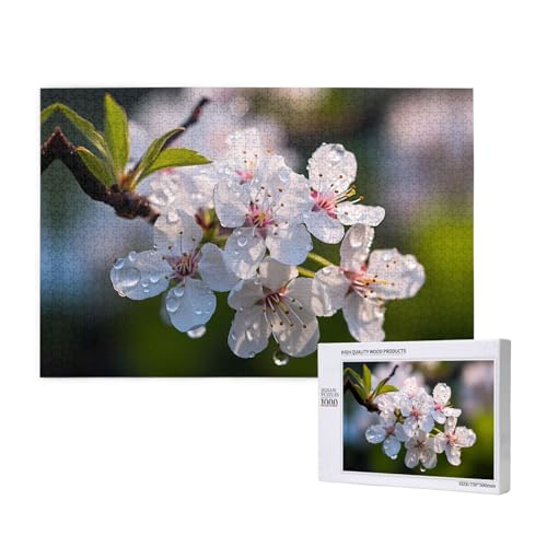 Phayah 1000 Teile Erwachsenenpuzzle Kinder Holzpuzzle Spielzeug DIY Kit Heimdekoration 75 x 50 cm weißes Birnenblütenmuster Phayah 1000 Teile Erwachsenenpuzzle Kinder Holzpuzzle Spielzeug DIY Kit Heimdekoration 75 x 50 cm weißes Birnenblütenmuster von PHAYAH