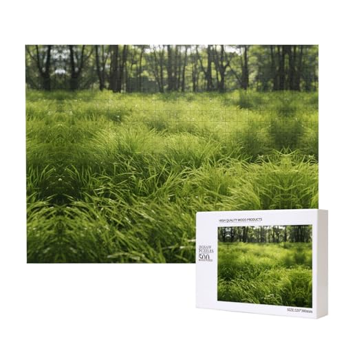 Phayah Billow Puzzle für Erwachsene, 500 Teile, Heimdekoration, Geburtstagsparty für Männer und Frauen, 50,4 x 38,1 cm von PHAYAH