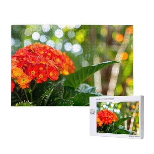 Phayah Gartenblumen Puzzles für Erwachsene 1000 Teile Kinder Intelligenz Entwicklung Spielzeug 29,5 x 19,7 Phayah Gartenblumen Puzzles für Erwachsene 1000 Teile Kinder Intelligenz Entwicklung Spielzeug 29,5 x 19,7 von PHAYAH
