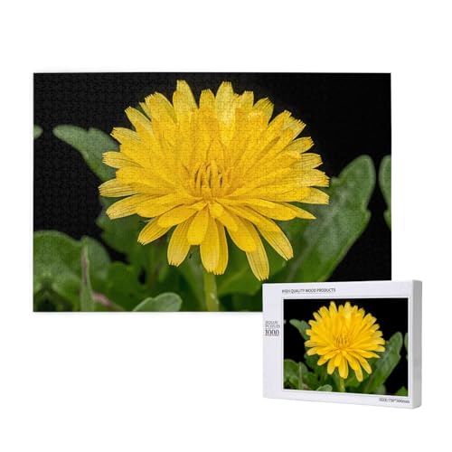 Phayah Gelbes Gänseblümchen-Puzzle für Erwachsene, 1000 Teile, Heimdekoration, Geburtstagsparty für Männer und Frauen, 29,5 x 50 cm Phayah Gelbes Gänseblümchen-Puzzle für Erwachsene, 1000 Teile, Heimdekoration, Geburtstagsparty für Männer und Frauen, 29,5 x 50 cm von PHAYAH