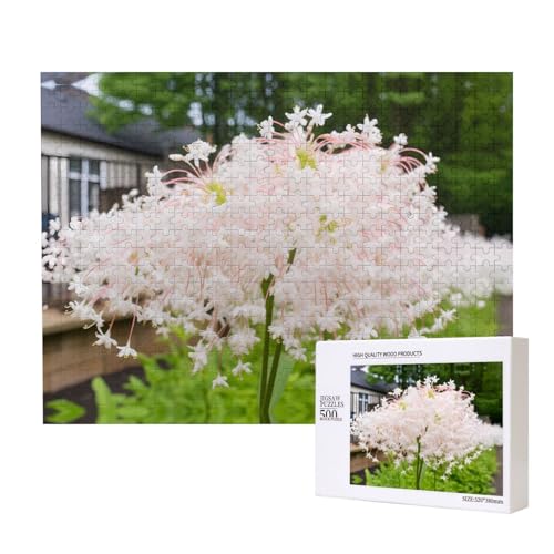 Phayah Puzzle mit weißen Geldblumen, für Erwachsene, 500 Teile, Heimdekoration, Geburtstagsparty für Männer und Frauen, 50 x 38 cm Phayah Puzzle mit weißen Geldblumen, für Erwachsene, 500 Teile, Heimdekoration, Geburtstagsparty für Männer und Frauen, 50 x 38 cm von PHAYAH