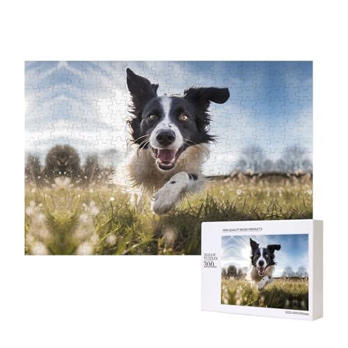 Phayah Running Border Collie Puzzles 300 Teile für Puzzle, Holzpuzzle für Familie und Freunde, Heimdekoration, Wandkunst, 39,9 x 27,9 cm Phayah Running Border Collie Puzzles 300 Teile für Puzzle, Holzpuzzle für Familie und Freunde, Heimdekoration, Wandkunst, 39,9 x 27,9 cm von PHAYAH