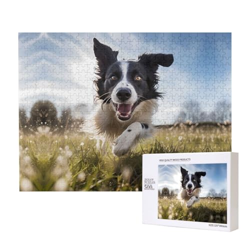 Phayah Running Border Collie Puzzles 500 Teile für Puzzle Holzpuzzle für Familie Freunde Heimdekoration Wandkunst 50,4 x 38,1 cm von PHAYAH