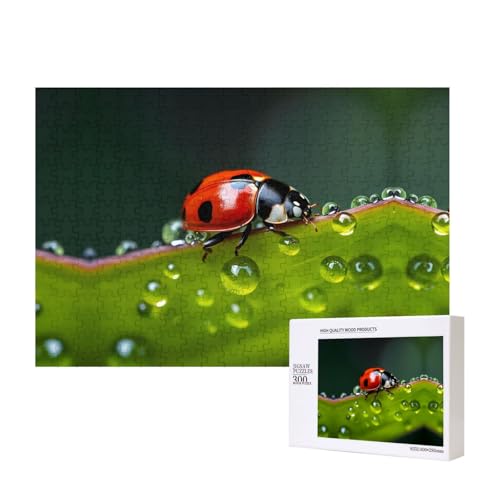 Phayah Sieben-Sterne-Marienkäfer-Puzzle, 300 Teile für Puzzle, Holzpuzzle für Familie, Freunde, Heimdekoration, Wandkunst, 39 x 27 cm Phayah Sieben-Sterne-Marienkäfer-Puzzle, 300 Teile für Puzzle, Holzpuzzle für Familie, Freunde, Heimdekoration, Wandkunst, 39 x 27 cm von PHAYAH