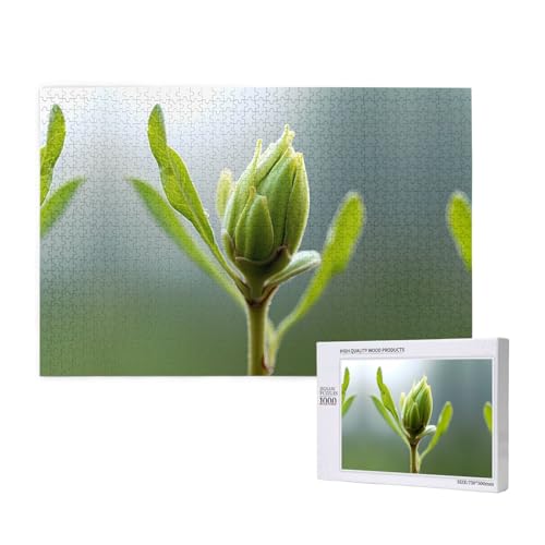 Phayah Sprouts Puzzles 1000 Teile für Puzzle, Holzpuzzle für Familie, Freunde, Heimdekoration, Wandkunst, 75 x 50 cm Phayah Sprouts Puzzles 1000 Teile für Puzzle, Holzpuzzle für Familie, Freunde, Heimdekoration, Wandkunst, 75 x 50 cm von PHAYAH