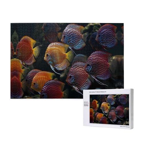 Phayah Tropische Fisch-Schulpuzzle, 1000 Teile, für Puzzle, Holzpuzzle für Familie, Freunde, Heimdekoration, Wandkunst, 75 x 50 cm Phayah Tropische Fisch-Schulpuzzle, 1000 Teile, für Puzzle, Holzpuzzle für Familie, Freunde, Heimdekoration, Wandkunst, 75 x 50 cm von PHAYAH
