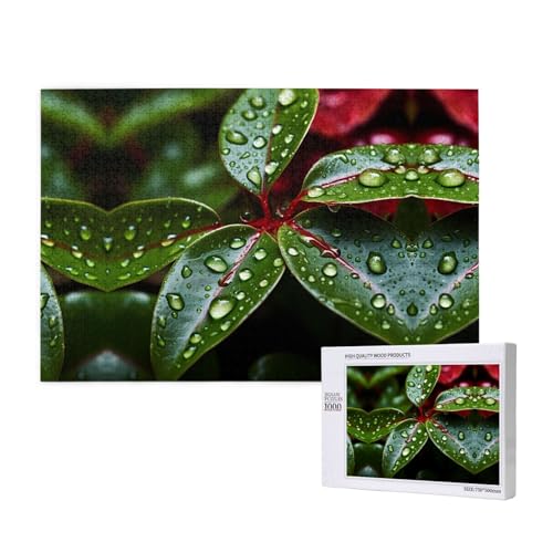 Phayah Weihnachtsstern-Puzzle, 1000 Teile für Puzzle, Holzpuzzle für Familie, Freunde, Heimdekoration, Wandkunst, 75 x 50 cm Phayah Weihnachtsstern-Puzzle, 1000 Teile für Puzzle, Holzpuzzle für Familie, Freunde, Heimdekoration, Wandkunst, 75 x 50 cm von PHAYAH
