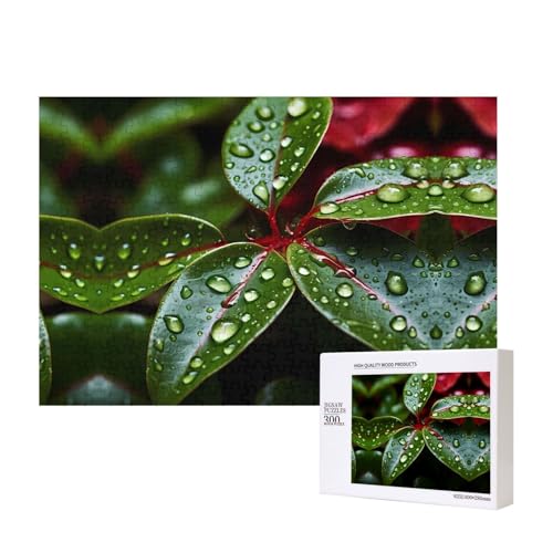 Phayah Weihnachtsstern-Puzzle, 300 Teile, für Puzzle, Holzpuzzle für Familie, Freunde, Heimdekoration, Wandkunst, 39 x 28 cm Phayah Weihnachtsstern-Puzzle, 300 Teile, für Puzzle, Holzpuzzle für Familie, Freunde, Heimdekoration, Wandkunst, 39 x 28 cm von PHAYAH