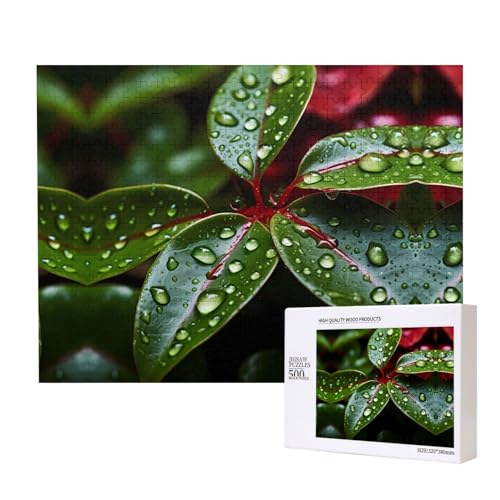 Phayah Weihnachtsstern-Puzzle, 500 Teile, für Puzzle, Holzpuzzle für Familie, Freunde, Heimdekoration, Wandkunst, 50 x 38 cm Phayah Weihnachtsstern-Puzzle, 500 Teile, für Puzzle, Holzpuzzle für Familie, Freunde, Heimdekoration, Wandkunst, 50 x 38 cm von PHAYAH