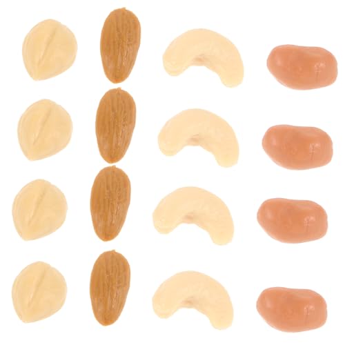 PHENOFICE Simulation Nüsse Dekoration Mini-nuss-Modell Simulationsnuss-Spielzeug Plastikhandwerk DIY-nuss-Dekoration Puppenhaus-lebensmittelmodell von PHENOFICE