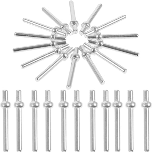 PHENOFICE Unterhaltsame Brettstifte 100 Stück Metallstifte Zum Punkten Für Kartenspiele von PHENOFICE