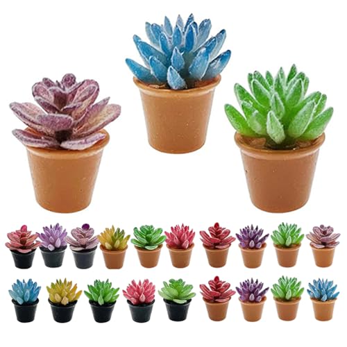 PHENOFICE 24 Stück Miniatur-Sukkulenten, Puppenhaus-Topfpflanzen-Zubehör, künstliche Bonsai, winzige Blumen, Topf, gefälschtes Grün, Ornament zum Basteln, Kleinkinder, Mädchen, Jungen von PHENOFICE