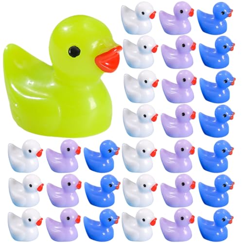 PHENOFICE 60Pcs Mini Harz Ente Miniatur Fairy Garden Landschaft Puppenhaus Dekoration Topf Pflanze Kuchen Dekoration Kunsthandwerk Kleine Ornamente Figuren Harz Miniatur Mini Enten Statue PHENOFICE 60Pcs Mini Harz Ente Miniatur Fairy Garden Landschaft Puppenhaus Dekoration Topf Pflanze Kuchen Dekoration Kunsthandwerk Kleine Ornamente Figuren Harz Miniatur Mini Enten Statue von PHENOFICE