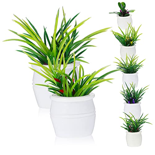 PHENOFICE 7 Teiliges Set Miniatur Bonsai Pflanzen Für Puppenhaus Künstliche Topfpflanzen Für Mini Garten Dekoration Ideal Für Puppenhaus Zubehör Und Mikrolandschaft Gestaltung PHENOFICE 7 Teiliges Set Miniatur Bonsai Pflanzen Für Puppenhaus Künstliche Topfpflanzen Für Mini Garten Dekoration Ideal Für Puppenhaus Zubehör Und Mikrolandschaft Gestaltung von PHENOFICE