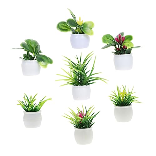 PHENOFICE 7 Teiliges Set Miniatur Pflanzen Für Puppenhaus Dekorative Mini Pflanzen Für Micro Landschaften Und Miniatur Gärten Perfekte Mini House Supplies Für Kreative Dekoration PHENOFICE 7 Teiliges Set Miniatur Pflanzen Für Puppenhaus Dekorative Mini Pflanzen Für Micro Landschaften Und Miniatur Gärten Perfekte Mini House Supplies Für Kreative Dekoration von PHENOFICE