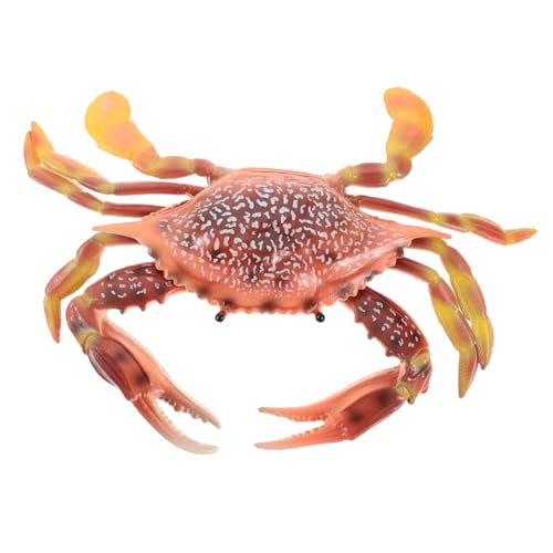 PHENOFICE Bildungskrabben Seesimulation Krabbendekoration Krabben Lernen Krabben Realistische Krabben Spielzeug Spielzeug Lebensechter Krabben Simuliertes Spielzeug Plastik Crab Decors PHENOFICE Bildungskrabben Seesimulation Krabbendekoration Krabben Lernen Krabben Realistische Krabben Spielzeug Spielzeug Lebensechter Krabben Simuliertes Spielzeug Plastik Crab Decors von PHENOFICE