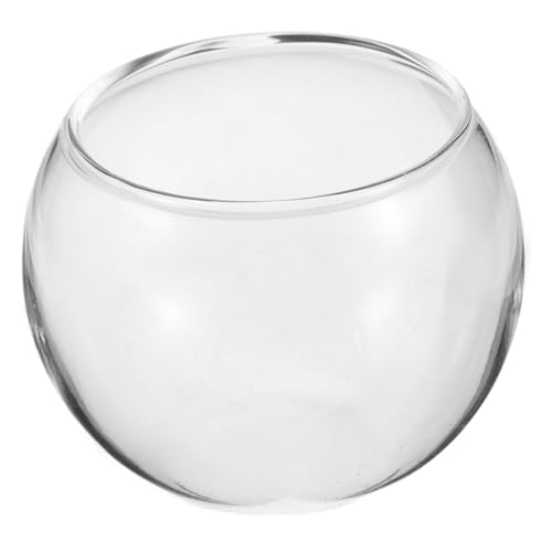 PHENOFICE Miniatur-fischglas Aus Glas 5 cm Durchmesser Rund Für Jungen- Und Mädchenzimmer Und Puppenhaus von PHENOFICE