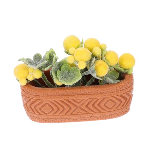 PHENOFICE Mini Topfpflanzen, Grüne Pflanzen, Kleine Blumen, Puppenhaus, Topfpflanze, Miniatur Puppenhaus Zubehör, Künstlicher Blumentopf, Mini Topfblumenmodell, Kleiner Bonsai, Miniatur PHENOFICE Mini Topfpflanzen, Grüne Pflanzen, Kleine Blumen, Puppenhaus, Topfpflanze, Miniatur Puppenhaus Zubehör, Künstlicher Blumentopf, Mini Topfblumenmodell, Kleiner Bonsai, Miniatur von PHENOFICE