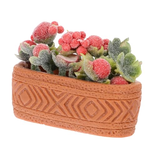 PHENOFICE Mini Topfpflanzen, Grünpflanzen, Kleiner Blumentopf, Winzige Topfpflanze, Winzige Blumendekoration, Winziger Bonsai, Miniatur Blumenornament, Miniatur Blumenmodell, Puppenhaus, PHENOFICE Mini Topfpflanzen, Grünpflanzen, Kleiner Blumentopf, Winzige Topfpflanze, Winzige Blumendekoration, Winziger Bonsai, Miniatur Blumenornament, Miniatur Blumenmodell, Puppenhaus, von PHENOFICE