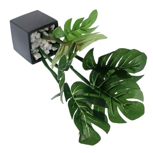 PHENOFICE Miniatur Blumentöpfe, Mini Bonsai, Modellhaus, Schreibtisch Ornamente, Mini Pflanzen, Puppenhaus Zubehör, Miniatur Pflanzen, Miniatur, Künstliche Puppenhaus Topfpflanze, Mini PHENOFICE Miniatur Blumentöpfe, Mini Bonsai, Modellhaus, Schreibtisch Ornamente, Mini Pflanzen, Puppenhaus Zubehör, Miniatur Pflanzen, Miniatur, Künstliche Puppenhaus Topfpflanze, Mini von PHENOFICE